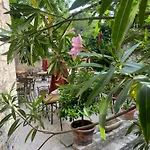 Hotel Restaurant Clos Des Sullys *